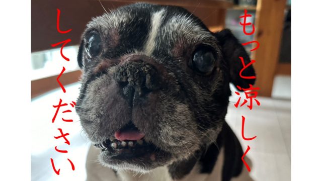 熱中症