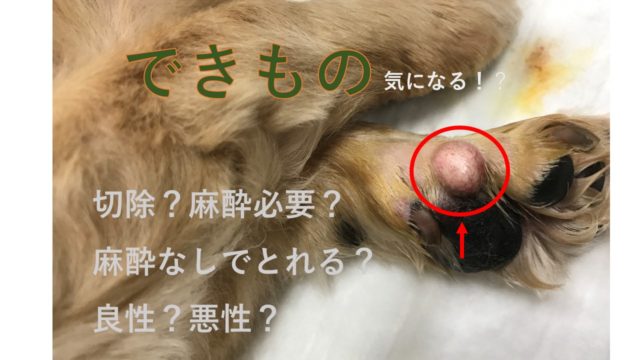 できもの切除