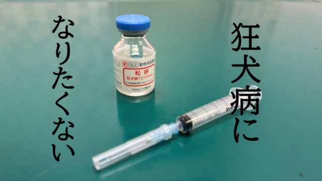 狂犬病予防接種